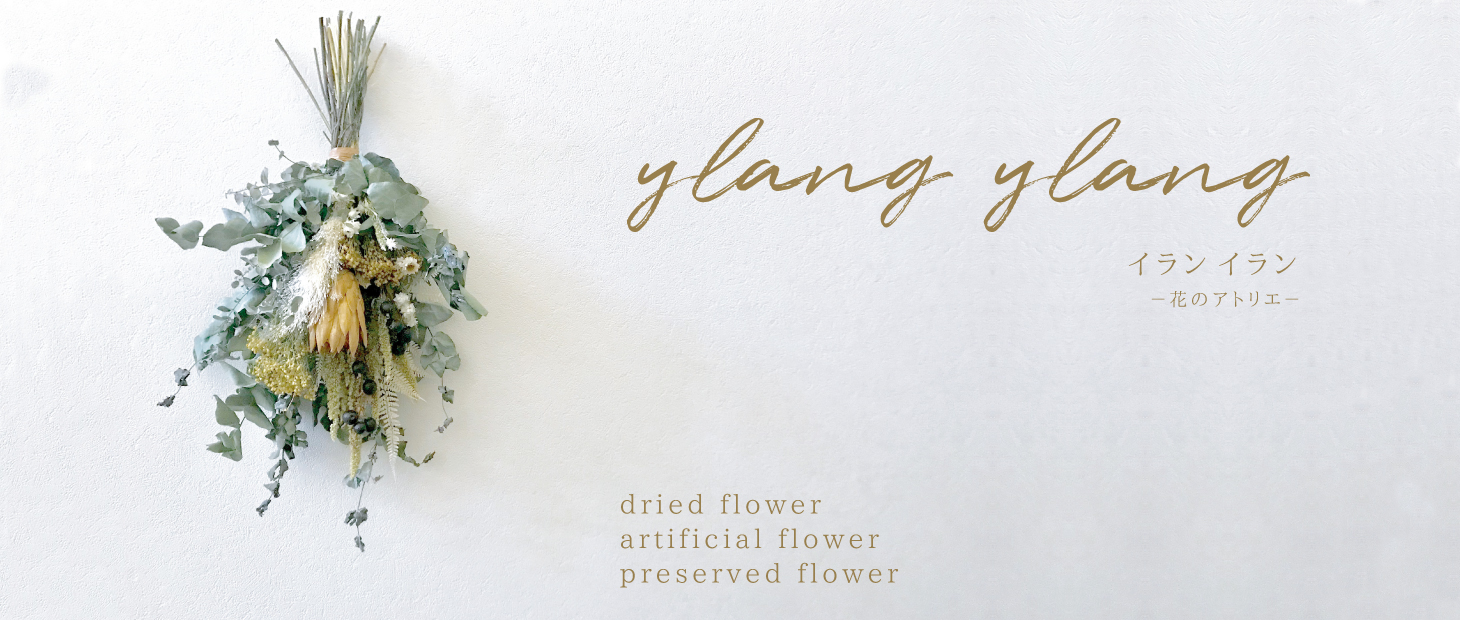 ylangylang blog