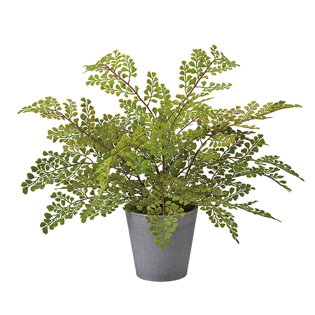 本物のようなリアル質感 アジアンタム ポット H30cm フェイクグリーン 人工観葉植物 卓上 鉢植え インテリアグリーン