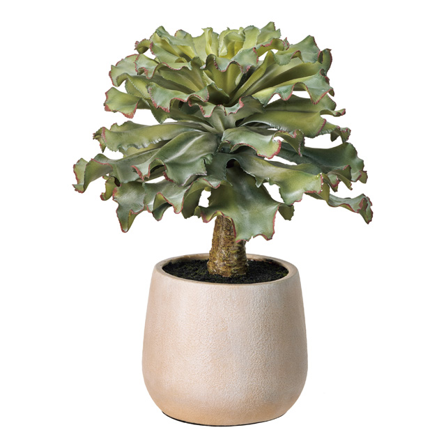 【フェイクグリーン】エケベリア フリル 鉢付き / 造花 多肉植物 インテリアグリーン 観葉植物