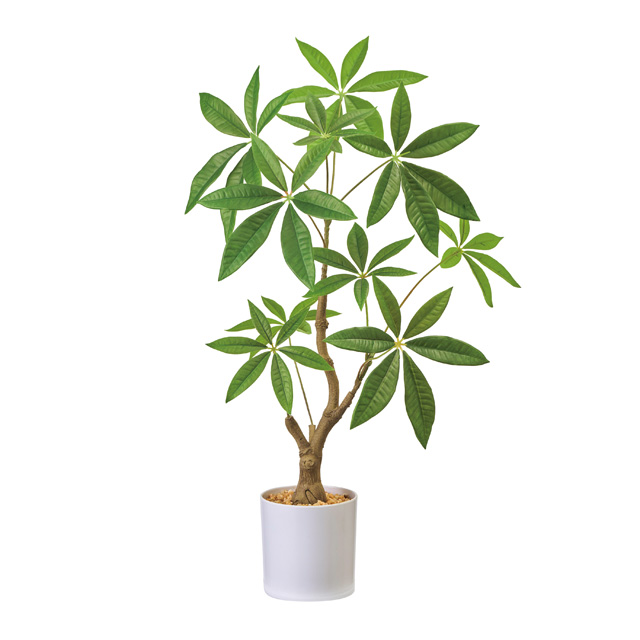 フェイクグリーン ミニパキラ 鉢付き W40×H60cm / 人工観葉植物 造花 インテリアグリーン 開店祝い 新築祝い オフィス 卓上