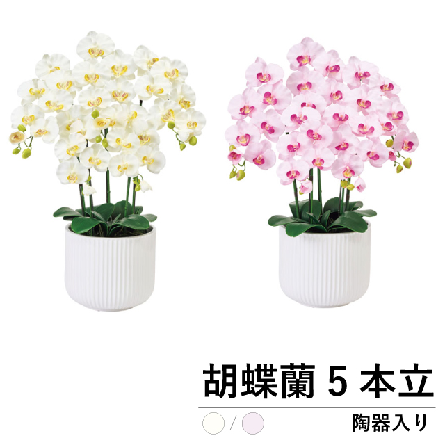 光触媒 胡蝶蘭 5本立 陶器鉢入 高さ72cm 造花 アートフラワー 高級 豪華 インテリア 開店祝い 新築祝い ギフト