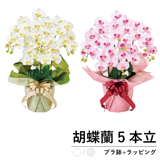 光触媒 胡蝶蘭 5本立 ラッピング付 幅50×高さ70cm 造花 観葉植物 アートフラワー 開店祝 新築祝 お祝い ギフト