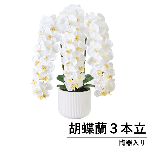 光触媒 胡蝶蘭 3本立 鉢入 高さ79cm｜高級 アートフラワー 造花 フェイクグリーン 消臭 抗菌 空気清浄 ギフト 開業祝い 新築祝い 母の日 陶器鉢 Pure Orchid