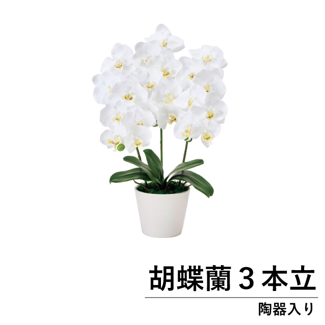 光触媒 高級胡蝶蘭 3本立 陶器鉢入り ホワイト（高さ54cm）フェイクグリーン アートフラワー