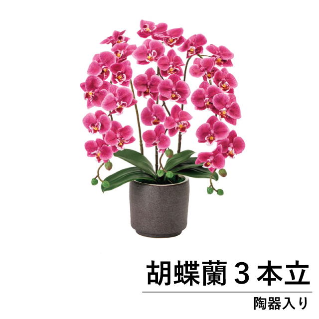 【光触媒】高級胡蝶蘭 3本立 陶器鉢入｜フェイクグリーン 造花 人工観葉植物 お祝い ギフト
